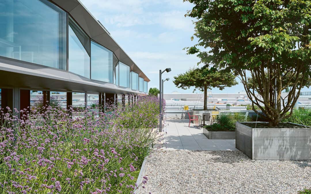 Neubau Aepli Sommerau, Gossau