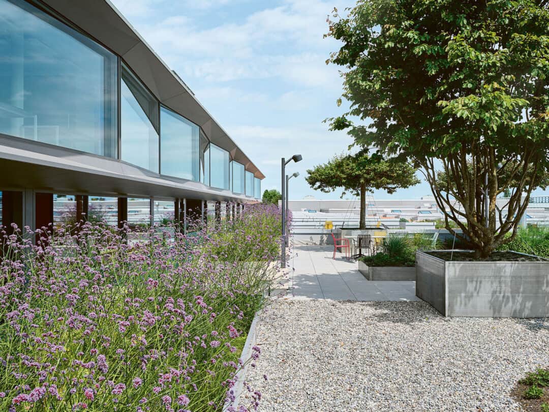 Neubau Aepli Sommerau, Gossau