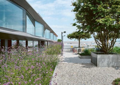 Neubau Aepli Sommerau, Gossau