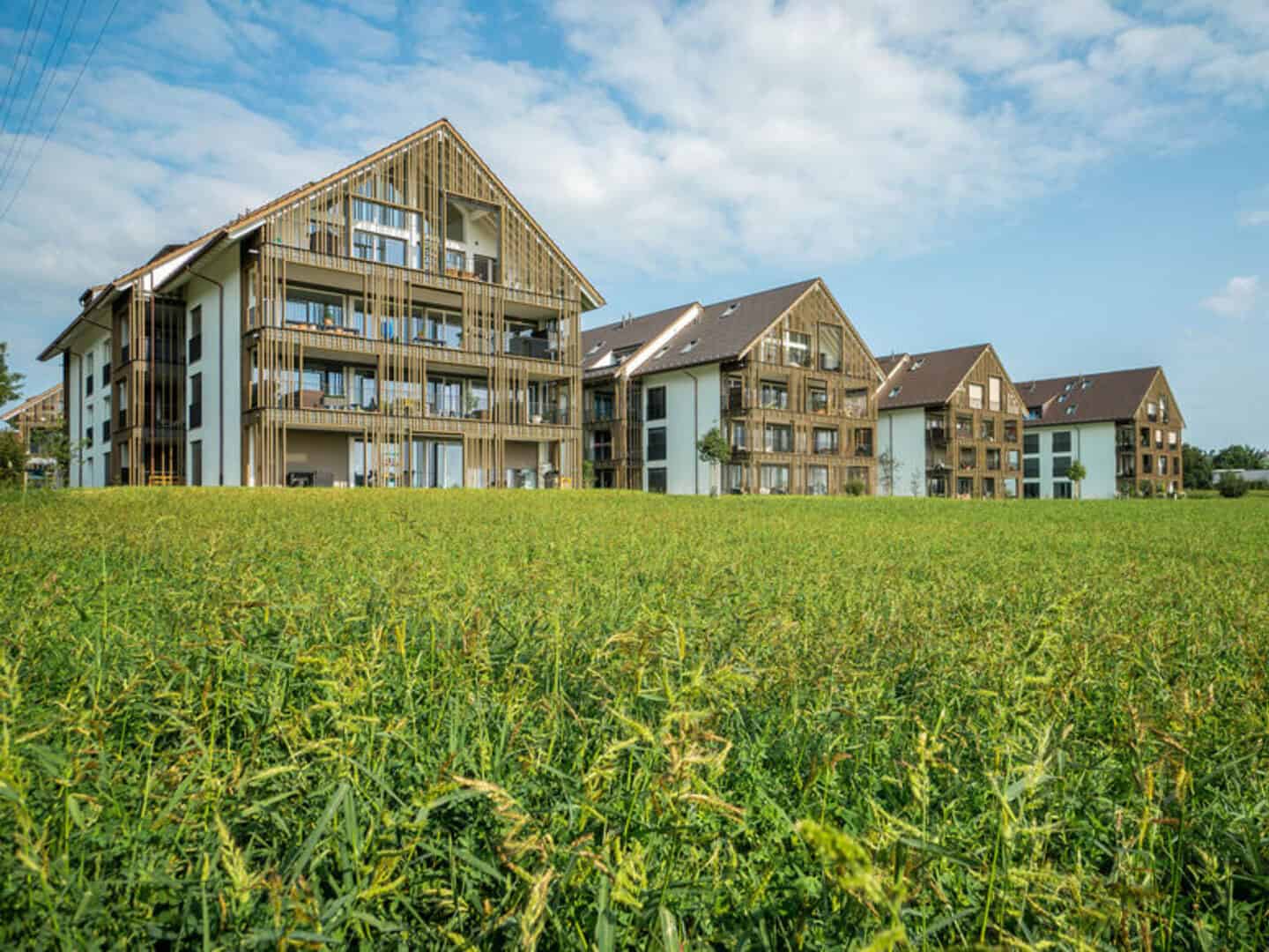Modern residential buildings with wooden accents on a lush green field under a blue sky.